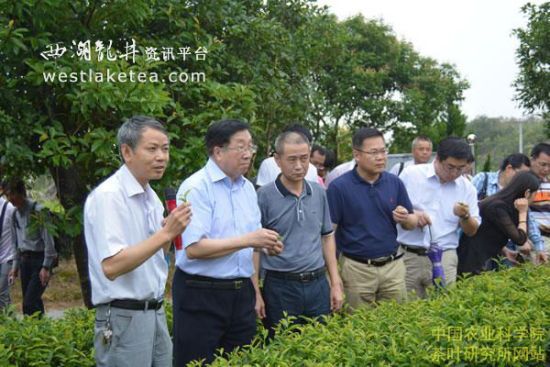 “茶园新农药示范应用”现场会在福州召开