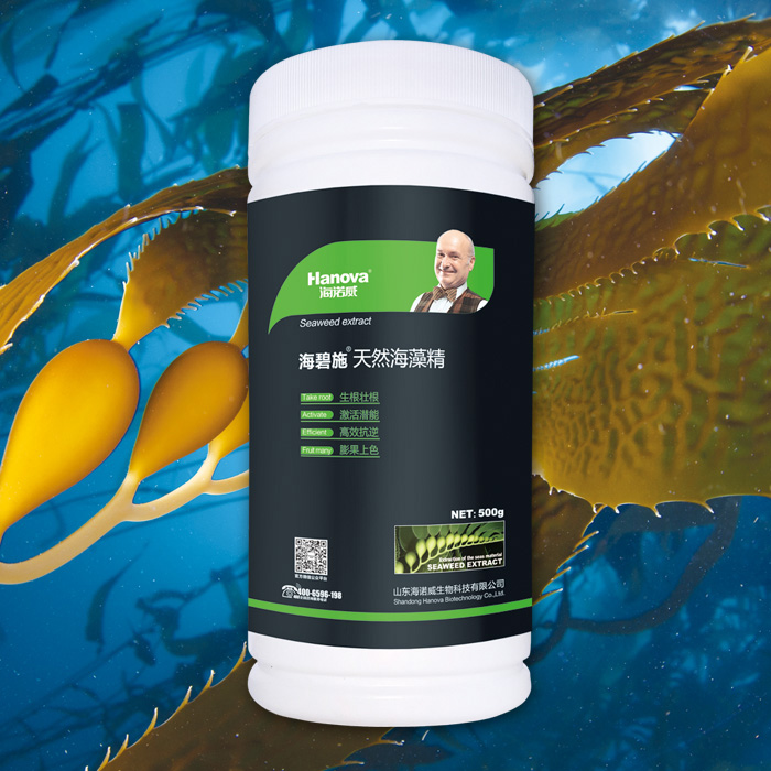 海碧施 海藻精