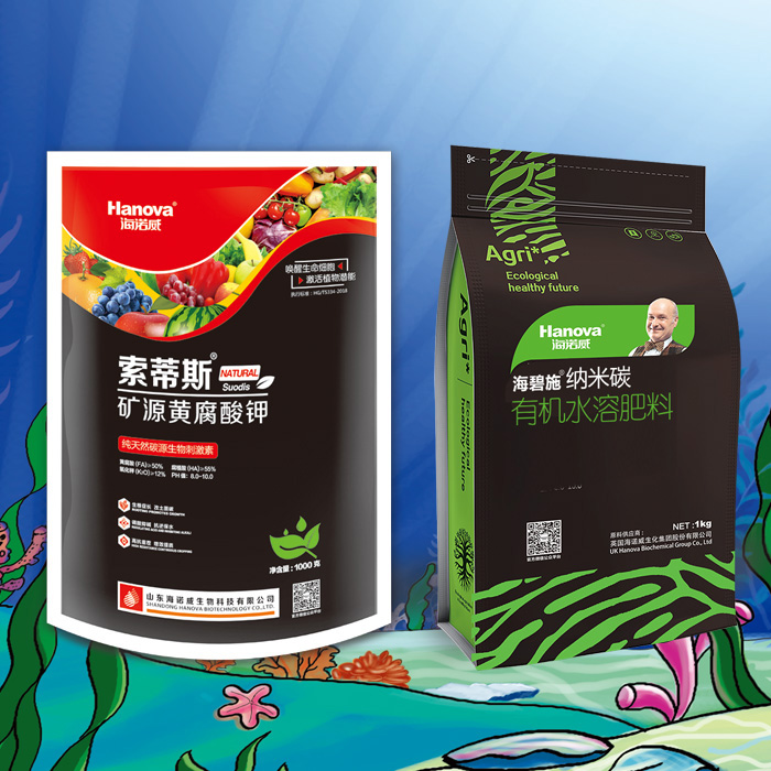 海碧施 索蒂斯