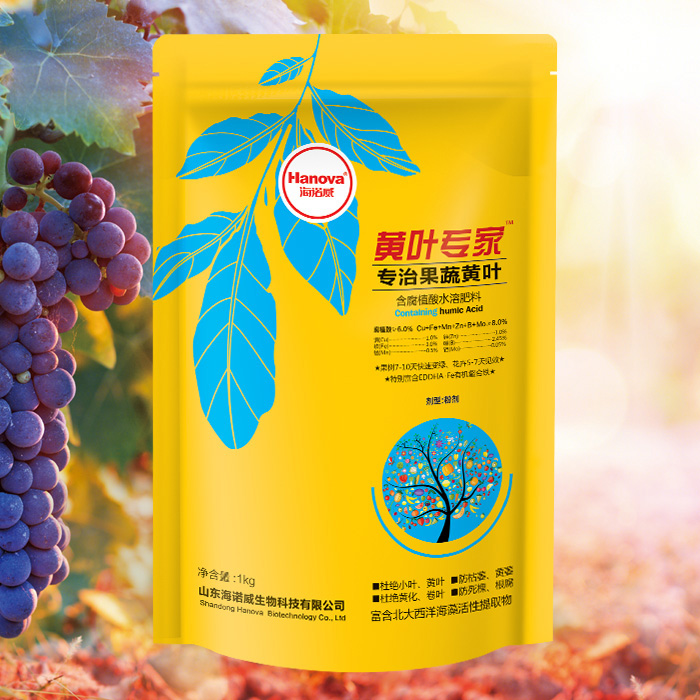 海诺威  黄叶专家