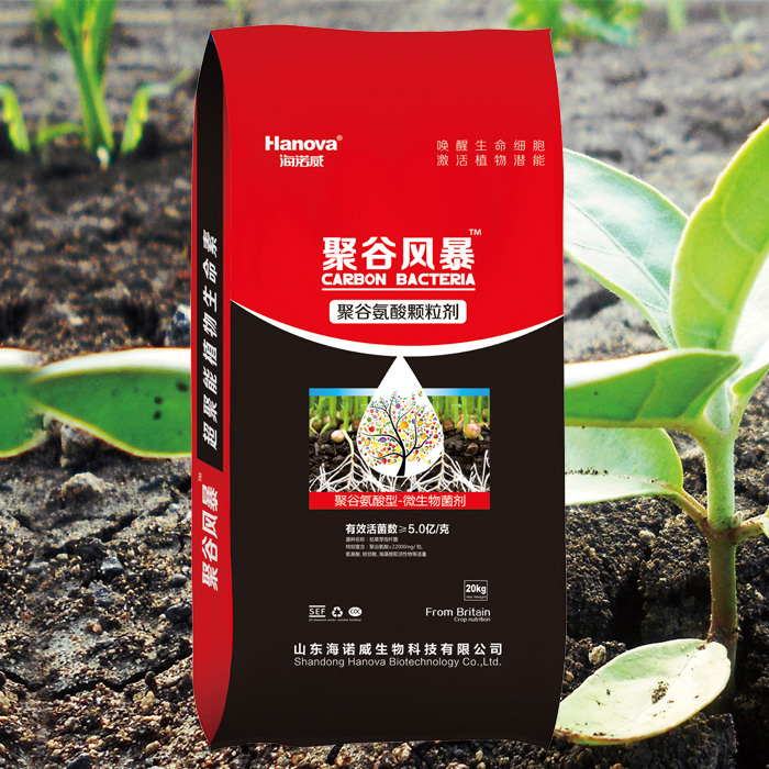 聚谷风暴