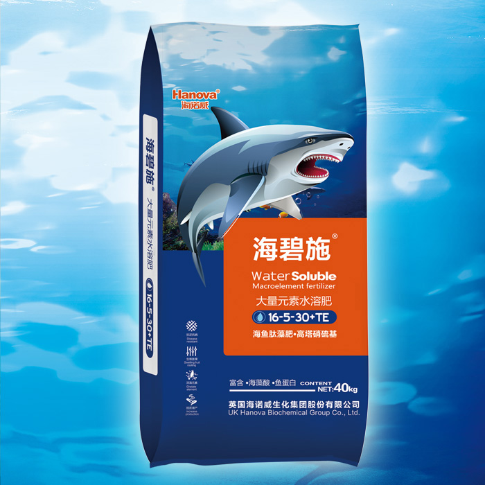 海碧施 3